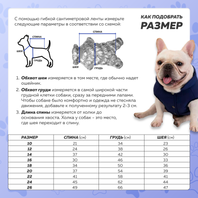 Зимний комбинезон для собак Chak синий 12 M-4